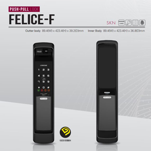 digital door lock Loghome Felice F Malaysia